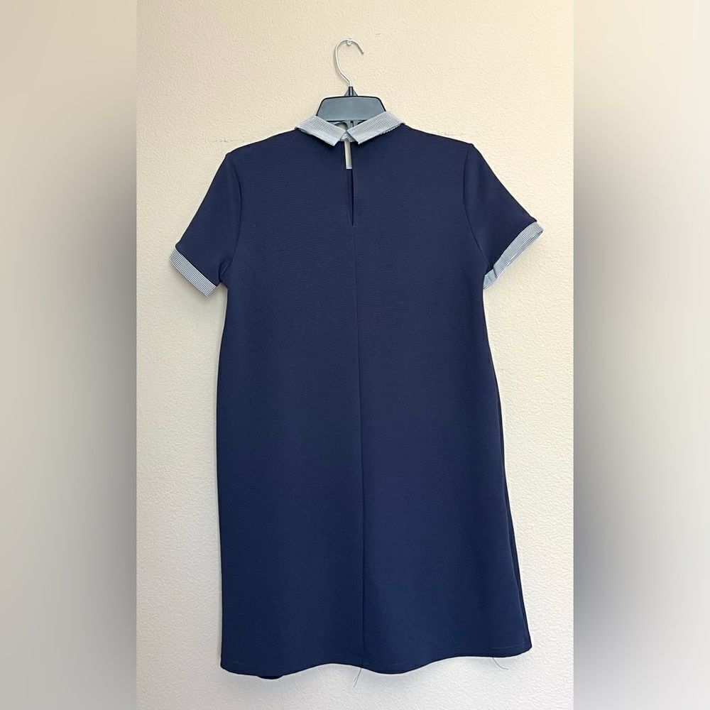 Zara Collar Navy Ribbed A Line Dress - Picture 5 of 9